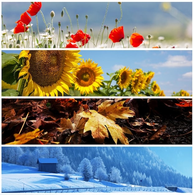 A split image showcasing scenes from early seasons of 