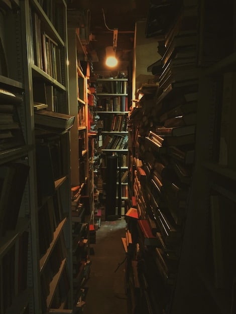 A dimly lit library or archive setting, with rows of dusty, intriguing books, one of which is slightly ajar, revealing a glow, representing the act of discovering hidden, valuable stories.