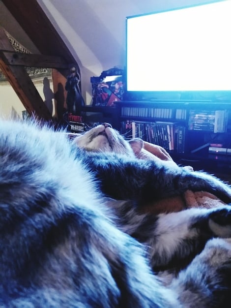 The ultimate binge-watching checklist: 10 must-see series before 2026
