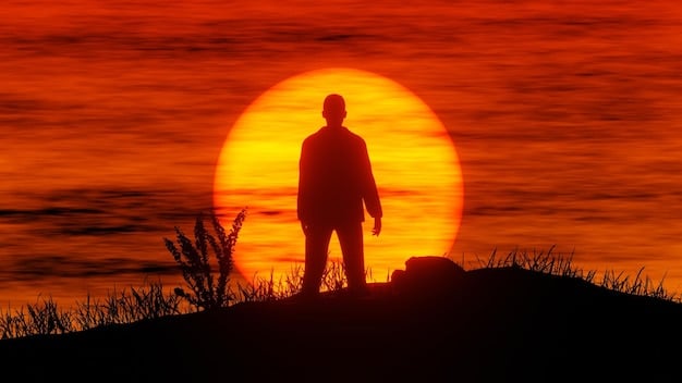 A lone figure silhouetted against a setting sun in a vast, desolate landscape, symbolizing a strong individual will to survive against the odds.