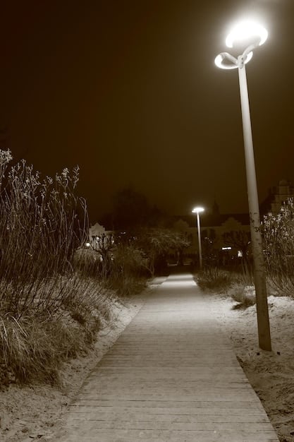 A dimly lit, slightly blurry image of a desolate street at night, with a single, faint streetlamp casting long shadows, evoking a sense of isolation and uncertainty.