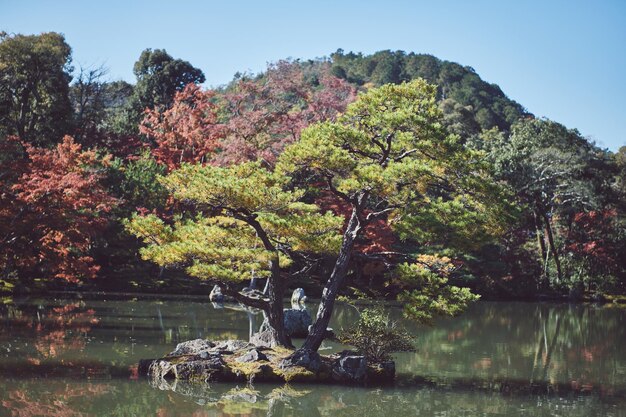 A picturesque view of Oedo Botania, a botanical garden on an island in South Korea. The terraced gardens are filled with vibrant flowers, lush greenery, and sculptures. The clear blue sea surrounds the island, enhancing its romantic and serene atmosphere as a unique K-Drama Filming Locations You Can Actually Visit: A Virtual Tour of South Korea for US Fans.
