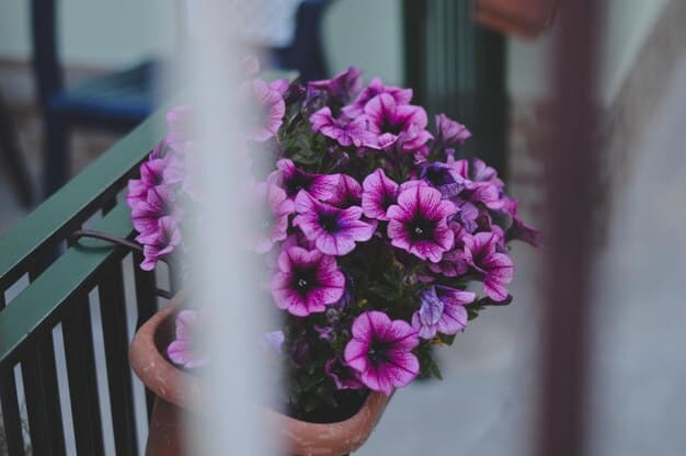 A young Petunia Evans looking longingly out a window at a distant, blurry figure resembling a young Severus Snape, both appearing somewhat isolated in their respective environments, hinting at a quiet, unacknowledged connection.