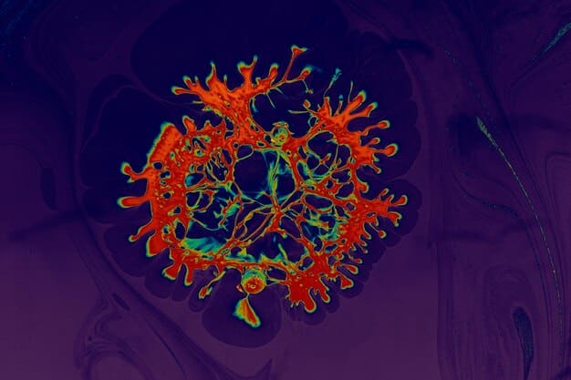 A detailed, scientific illustration depicting the Cordyceps fungus infecting a human brain, contrasted with a separate diagram showing Ellie's immune system successfully fighting off the infection. The diagrams are labeled with technical terms commonly associated with virology.